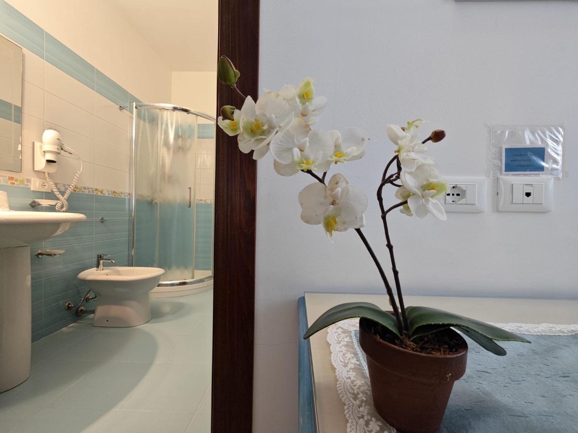 Orchidea Bed & Breakfast 2*